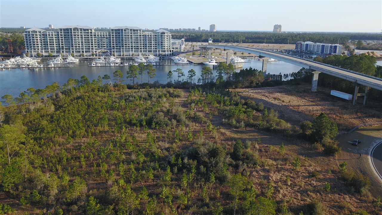 0 Baldwin Beach Expressway Orange Beach, AL 36561 - Photo 5 of 8
