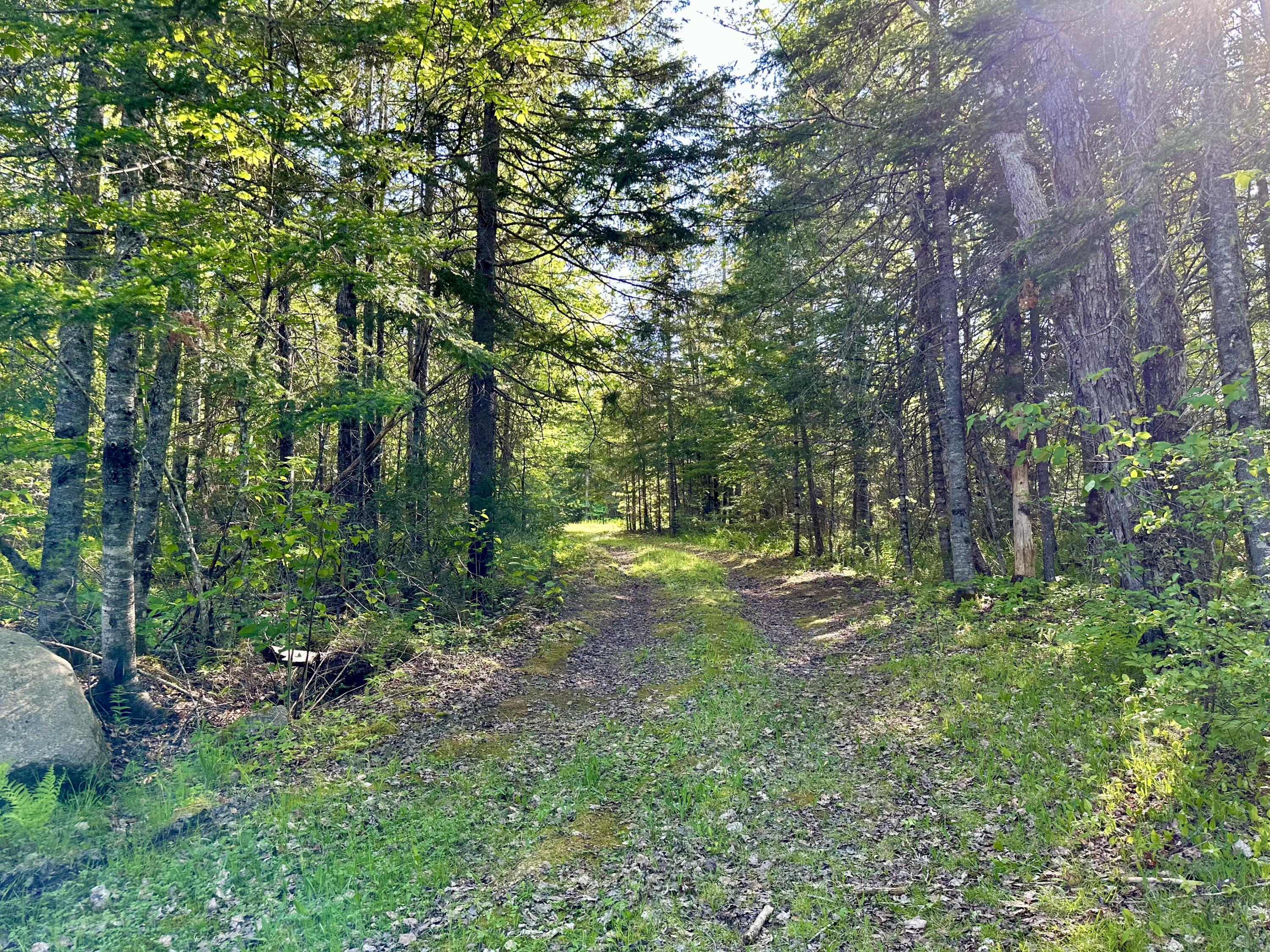 827 Northfield Road Machias, ME 04654 - Photo 16 of 33 IMG_0642
