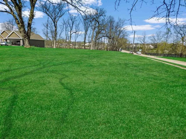 a view of a large garden with plants and large trees