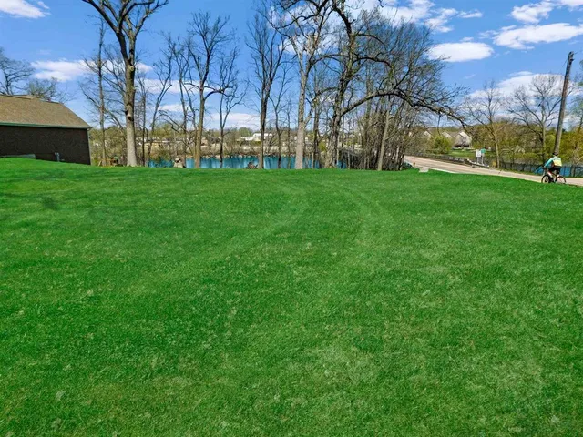 a view of a park with large trees