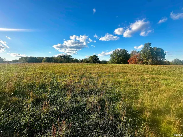 $100,000 | 0 Galatia Road, Galatia, IL 62935