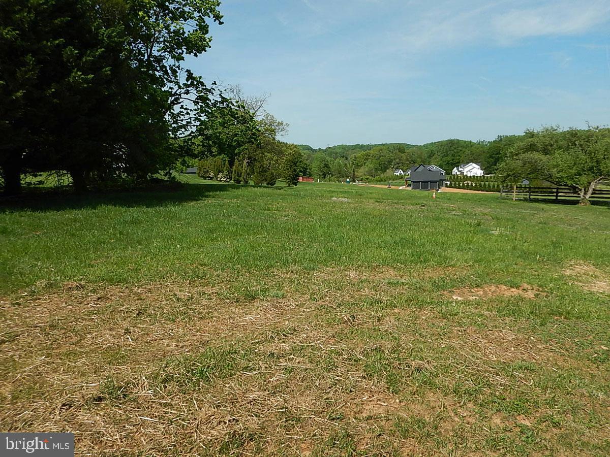 7716 Chapman Road Kingsville, MD 21087 - Photo 3 of 32 Backyard and view