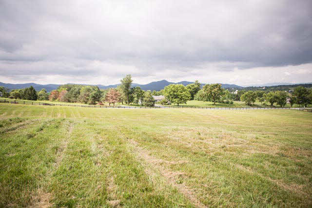 1011 Harper Valley Road Luray, VA 22835 - Photo 29 of 34 Gallery Image 29