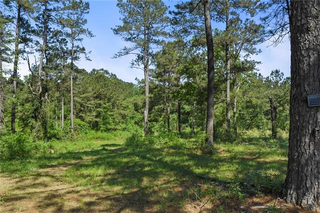 50077 Lawrence Creek Road Franklinton, LA 70438 - Photo 11 of 16