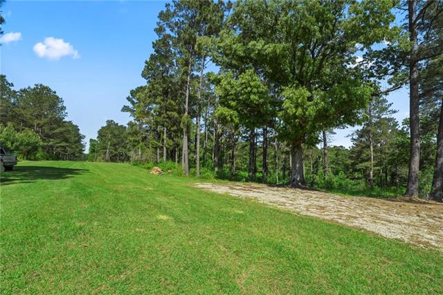 50077 Lawrence Creek Road Franklinton, LA 70438 - Photo 9 of 16