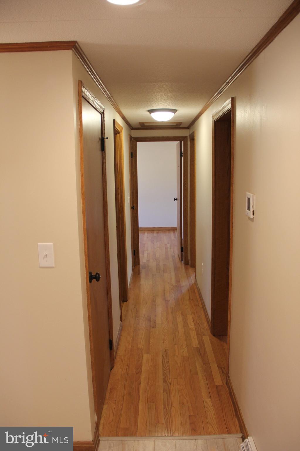 904 Hoffmaster Road Knoxville, MD 21758 - Photo 13 of 29 Hallway