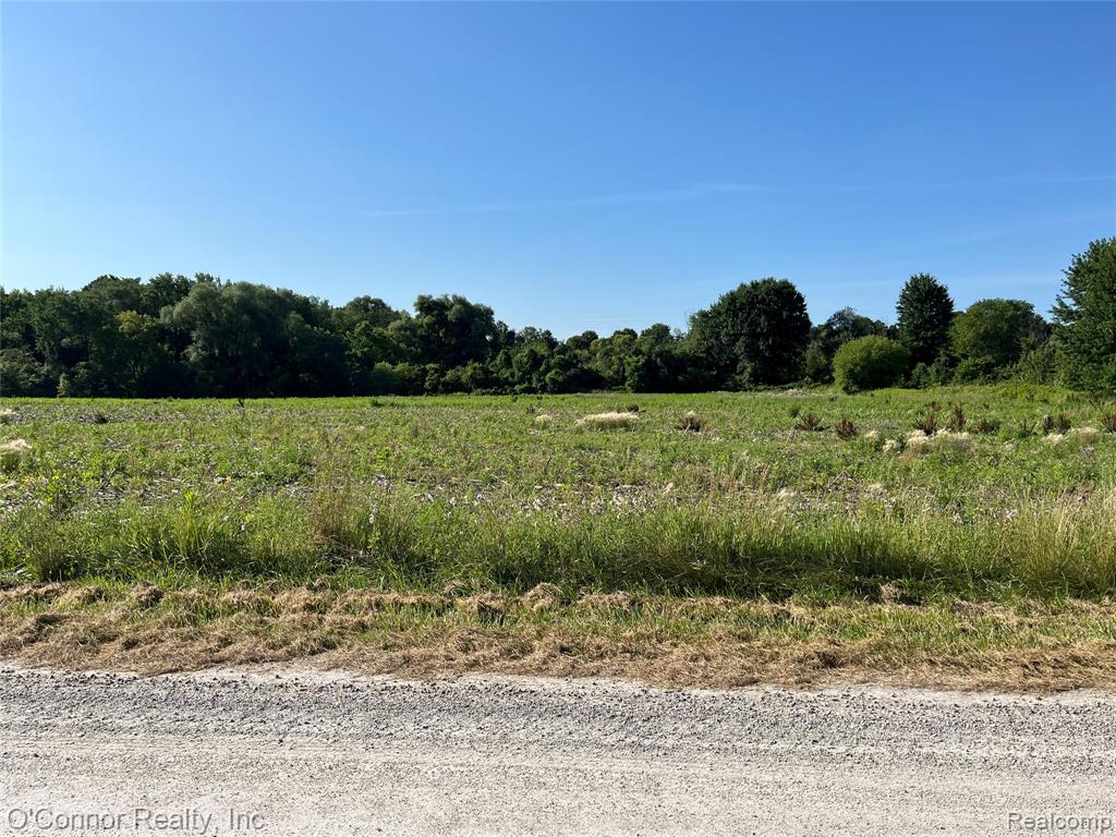 Vl Lambs Road Goodells, MI 48027 - Photo 2 of 9