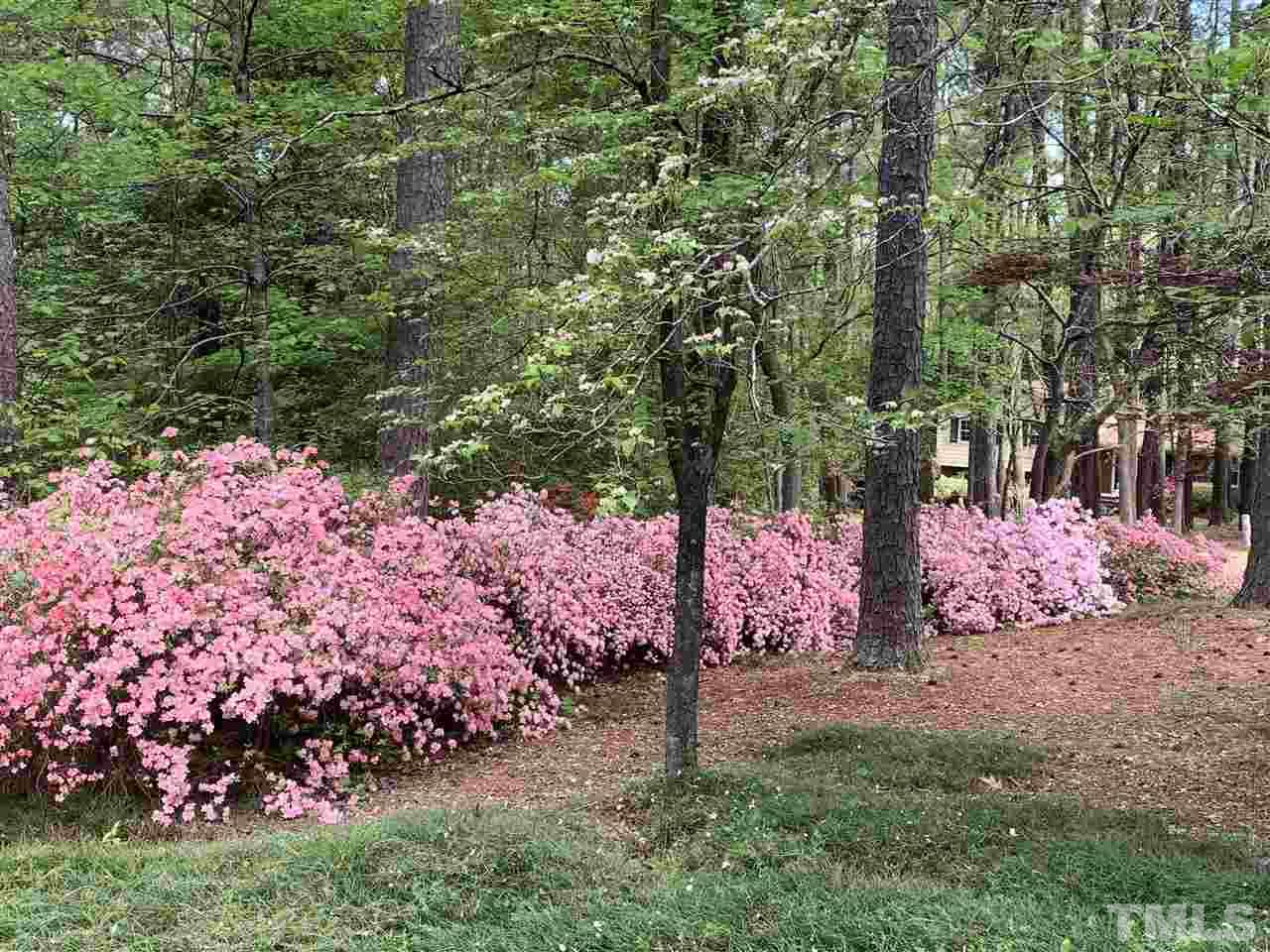 3219 Tanager Street Raleigh, NC 27606 - Photo 3 of 29 Gallery Image 3