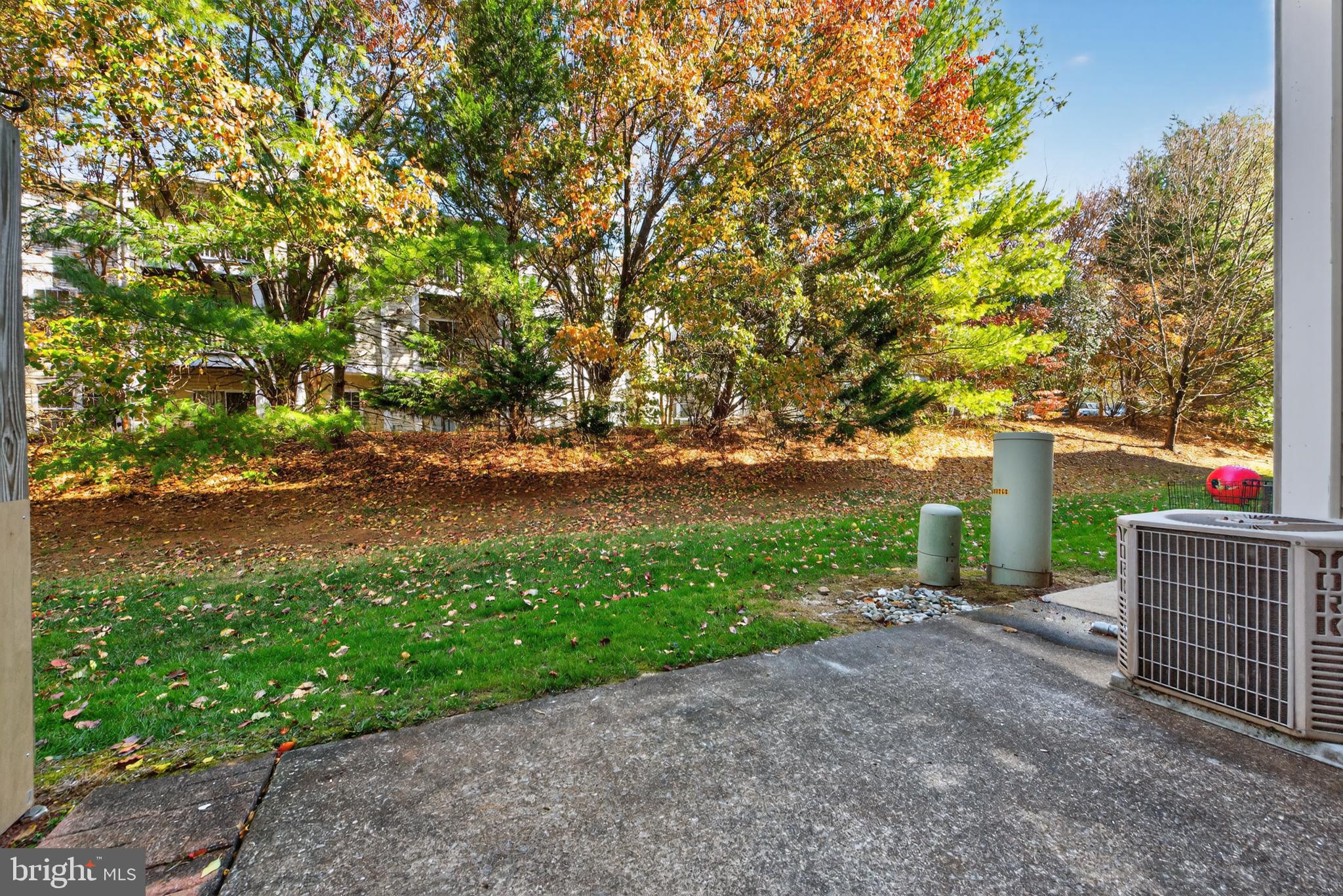 46932 Courtyard Square Sterling, VA 20164 - Photo 14 of 15 a view of backyard with green space