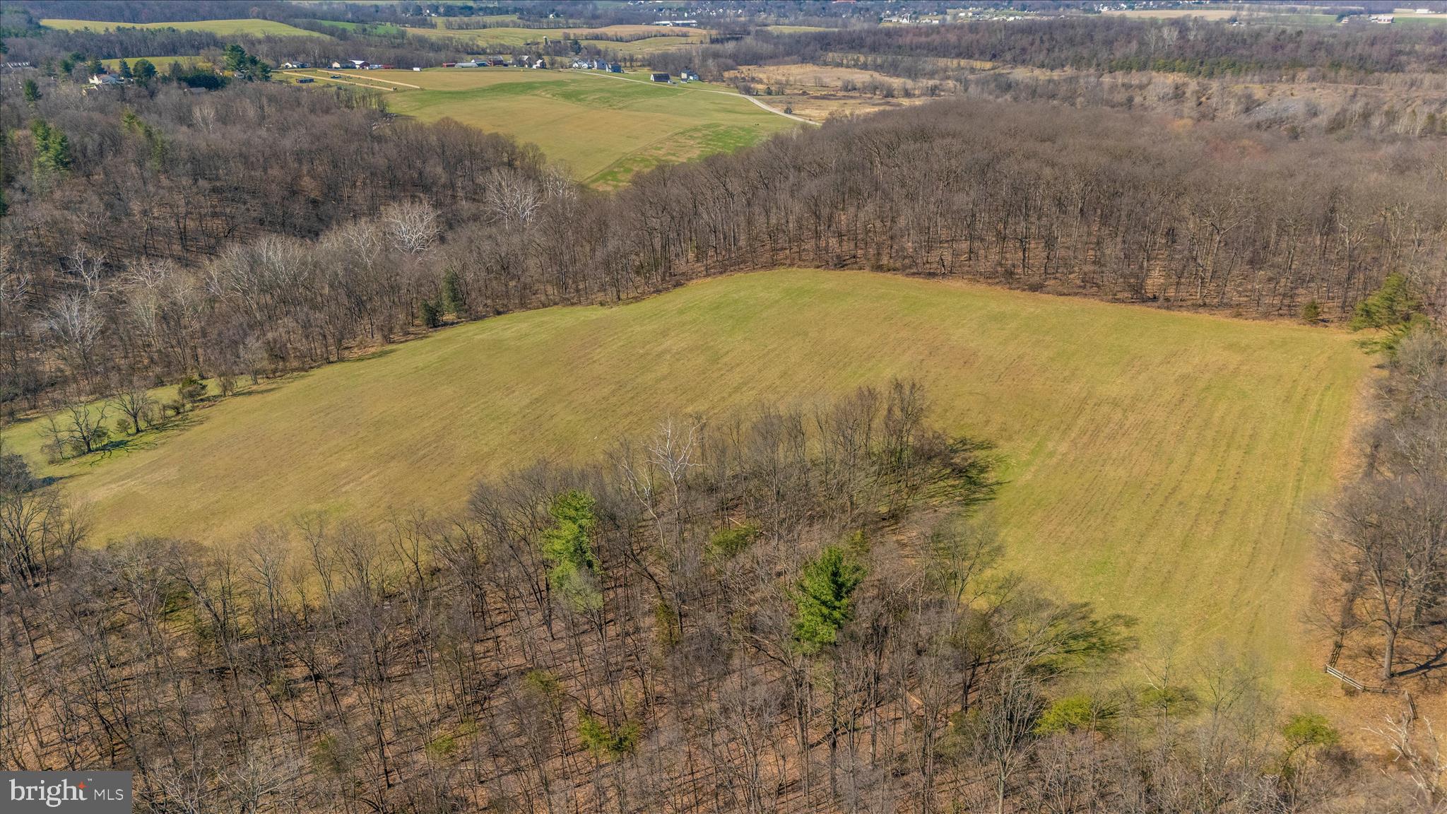 35 /- Acres Off Bennie Duncan Road Frederick, MD 21701 - Photo 8 of 15 DJI_20260320111101_0028_D