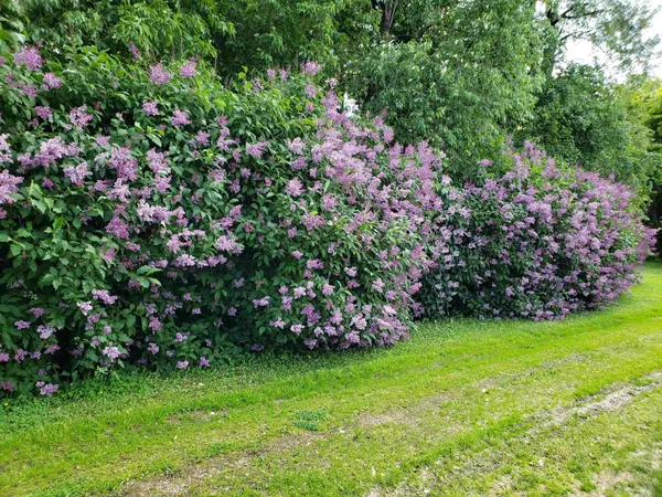 $850,000 | N9026 Hickory Point Road, Beaver Dam, WI 53916