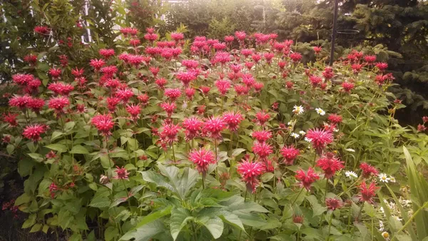 $850,000 | N9026 Hickory Point Road, Beaver Dam, WI 53916