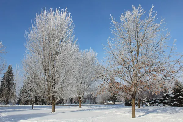 $850,000 | N9026 Hickory Point Road, Beaver Dam, WI 53916