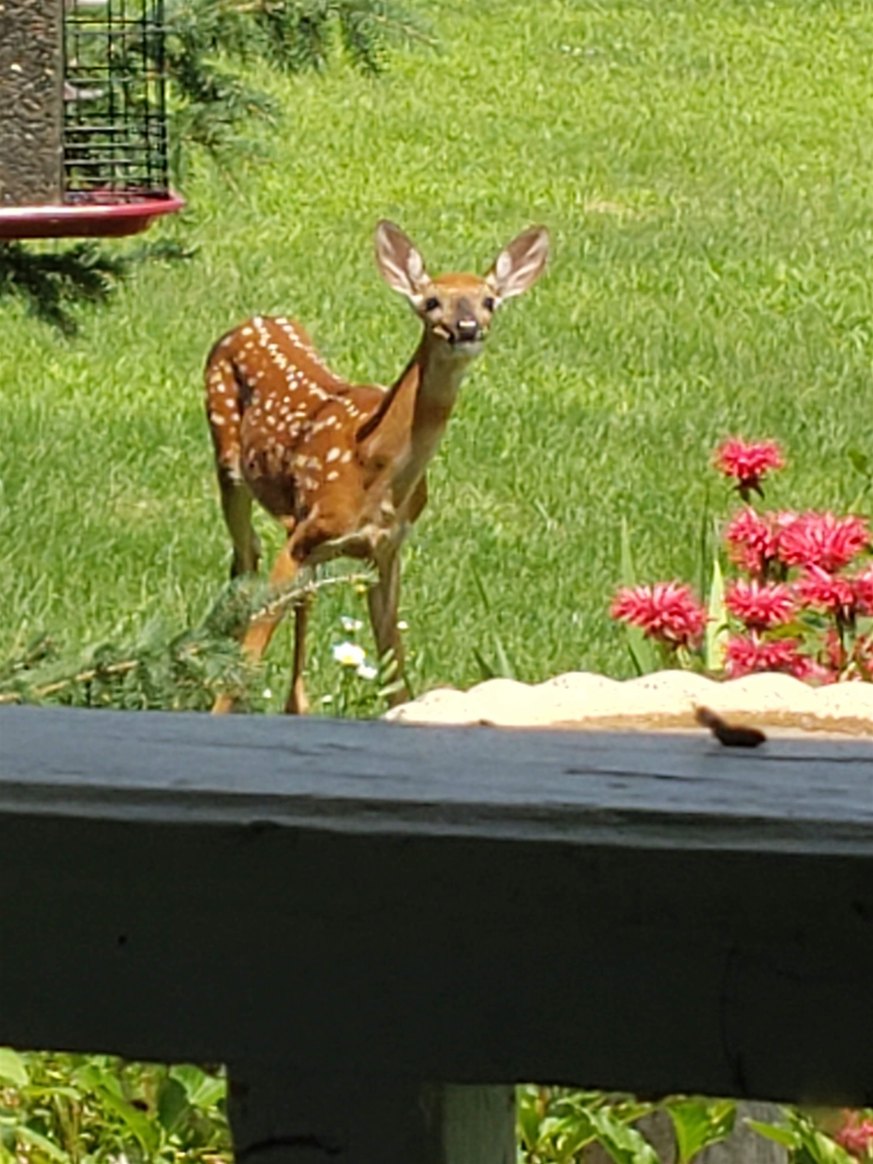 N9026 Hickory Point Road Beaver Dam, WI 53916 - Photo 80 of 88