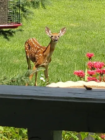 $865,000 | N9026 Hickory Point Road, Beaver Dam, WI 53916