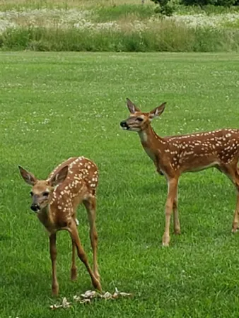 $865,000 | N9026 Hickory Point Road, Beaver Dam, WI 53916