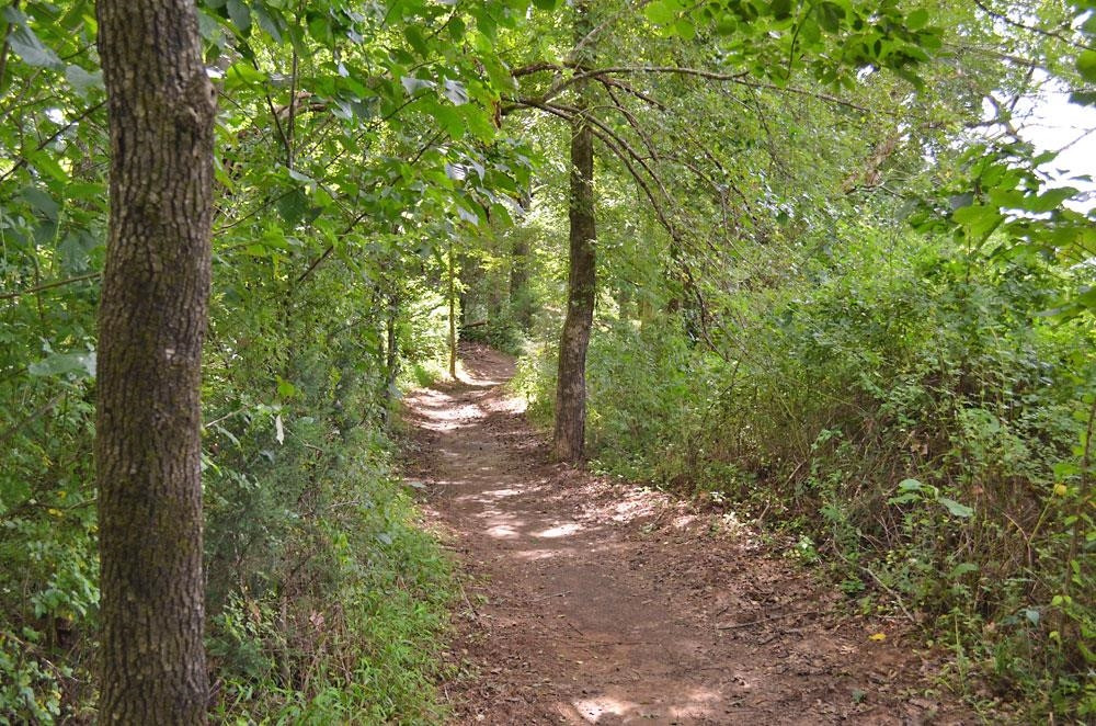 1 Austin Quarter Road Graham, NC 27253 - Photo 23 of 41 Photo 23