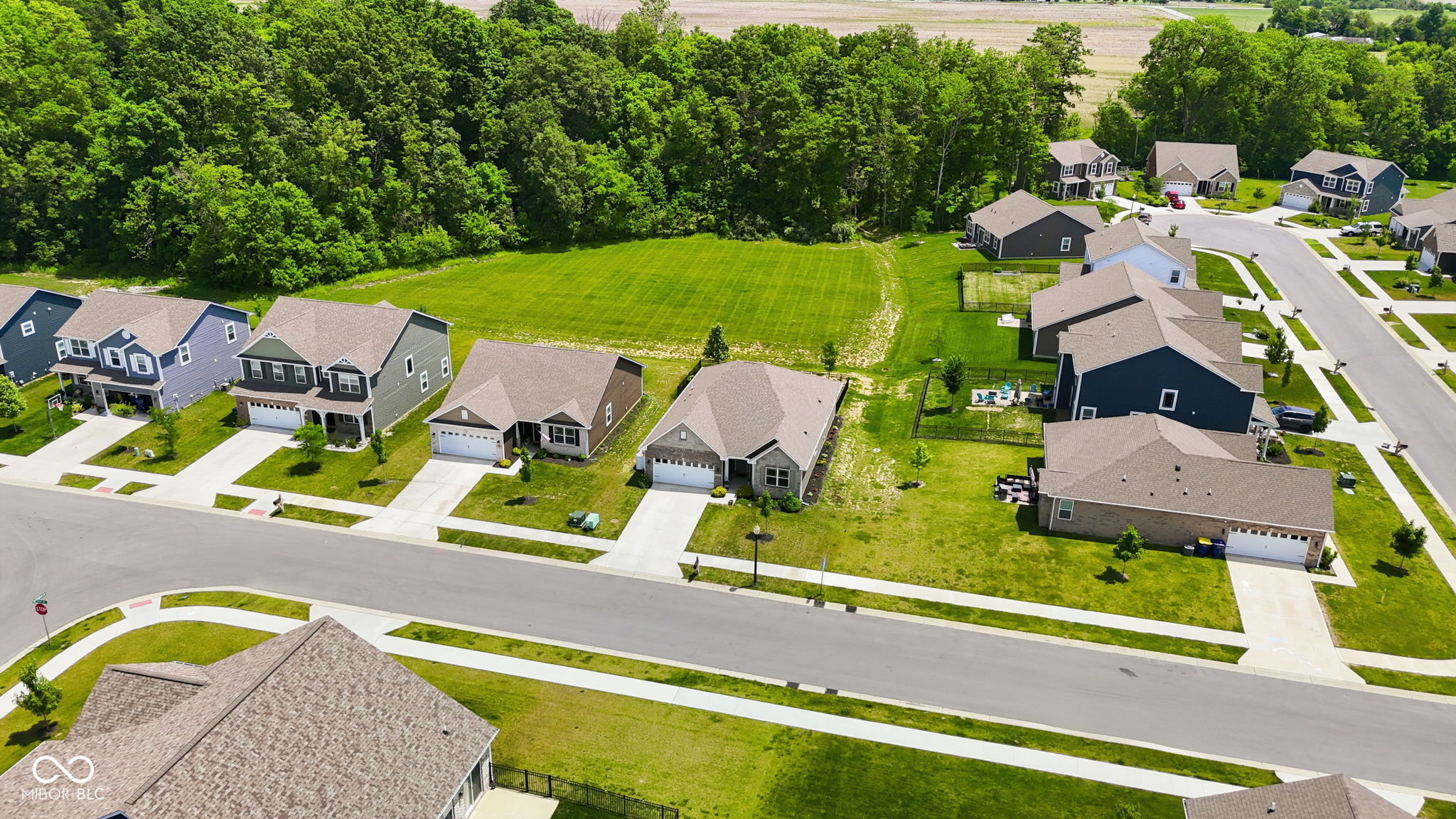 6599 Dunkirk Drive McCordsville, IN 46055 - Photo 8 of 47