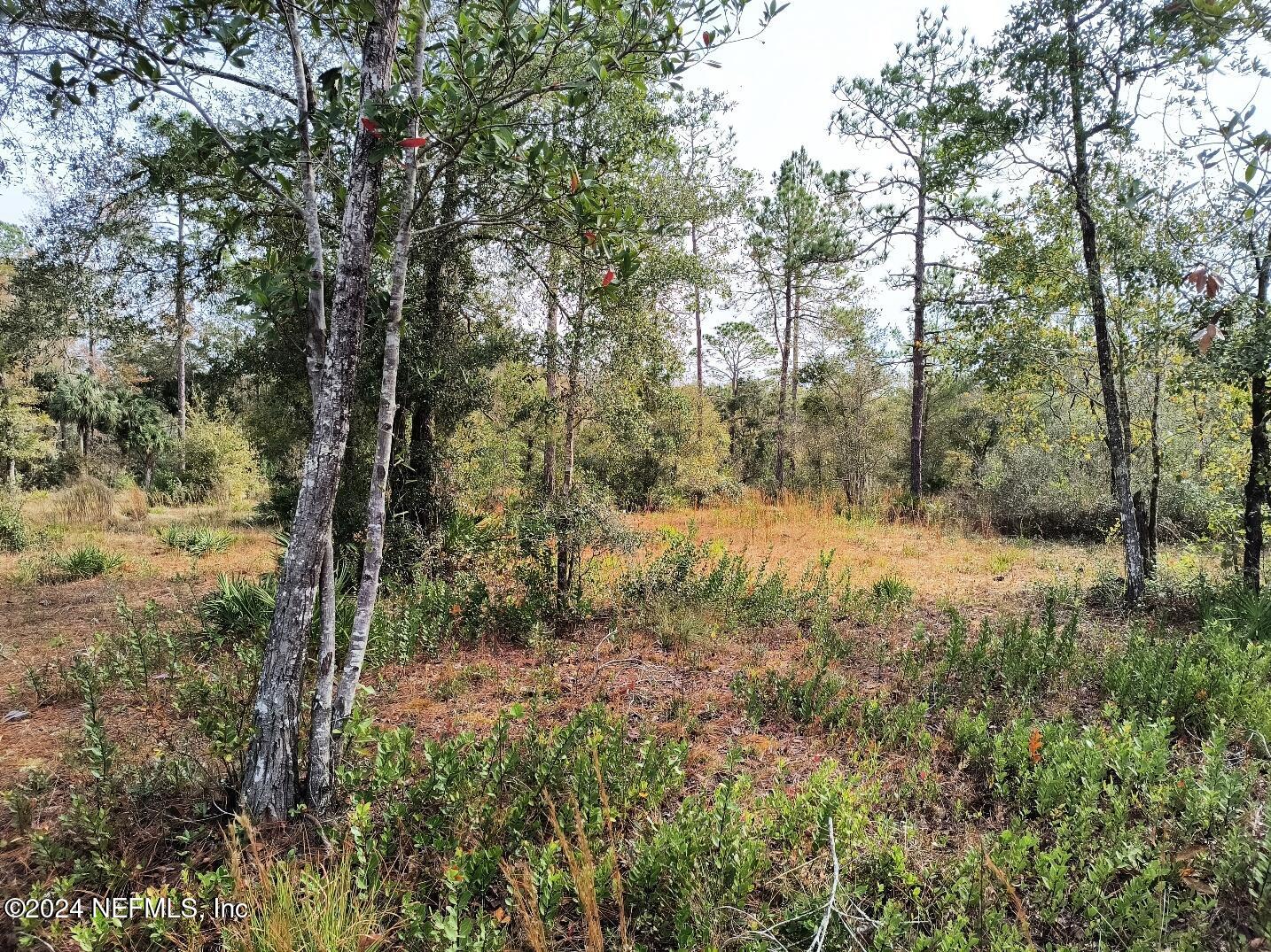 148 Little Orange Creek Road Hawthorne, FL 32640 - Photo 11 of 23 IMG_20241228_110912490_HDR
