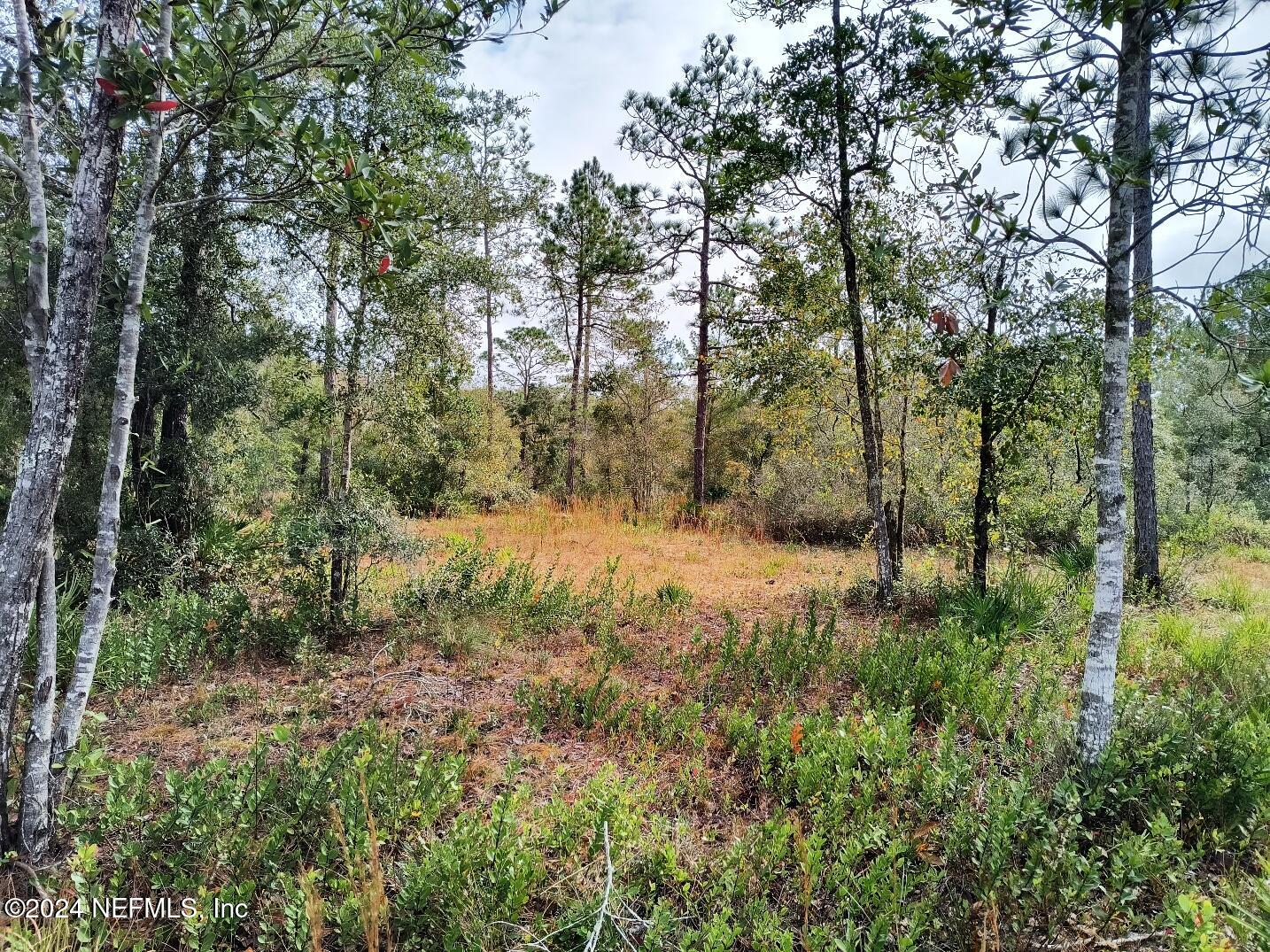 148 Little Orange Creek Road Hawthorne, FL 32640 - Photo 12 of 23 IMG_20241228_110914444_HDR