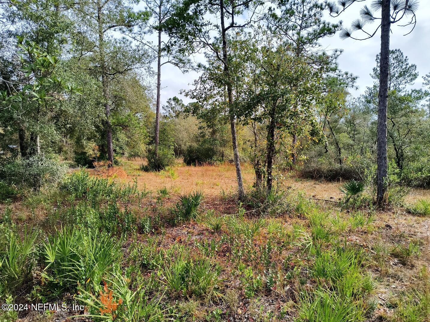 148 Little Orange Creek Road Hawthorne, FL 32640 - Photo 13 of 23 IMG_20241228_110926118_HDR
