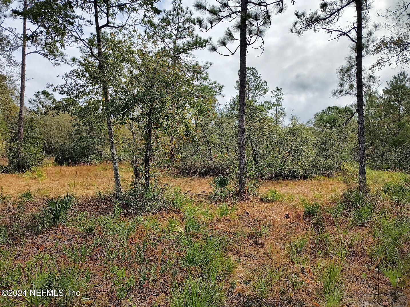 148 Little Orange Creek Road Hawthorne, FL 32640 - Photo 14 of 23 IMG_20241228_110930806_HDR