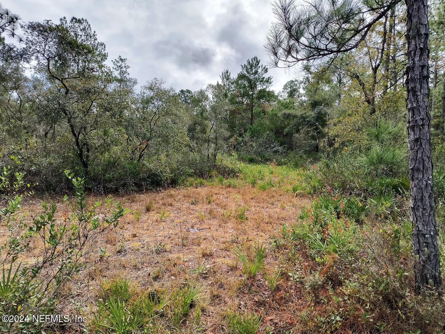 148 Little Orange Creek Road Hawthorne, FL 32640 - Photo 15 of 23 IMG_20241228_111117653_HDR