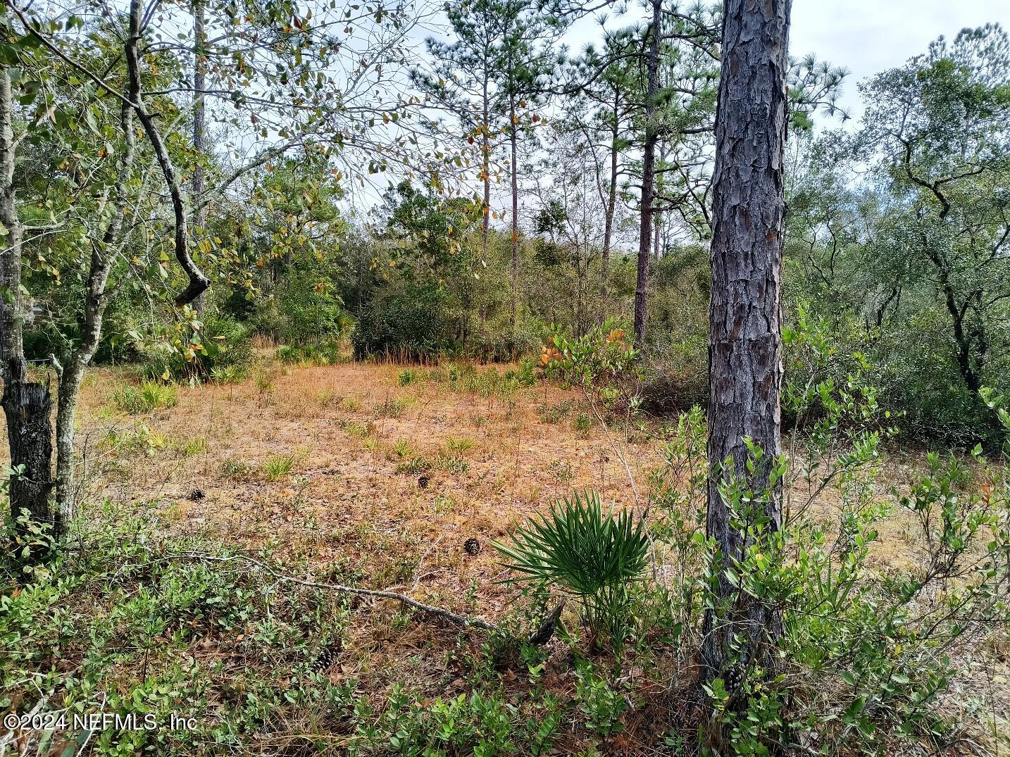 148 Little Orange Creek Road Hawthorne, FL 32640 - Photo 16 of 23 IMG_20241228_111123368_HDR
