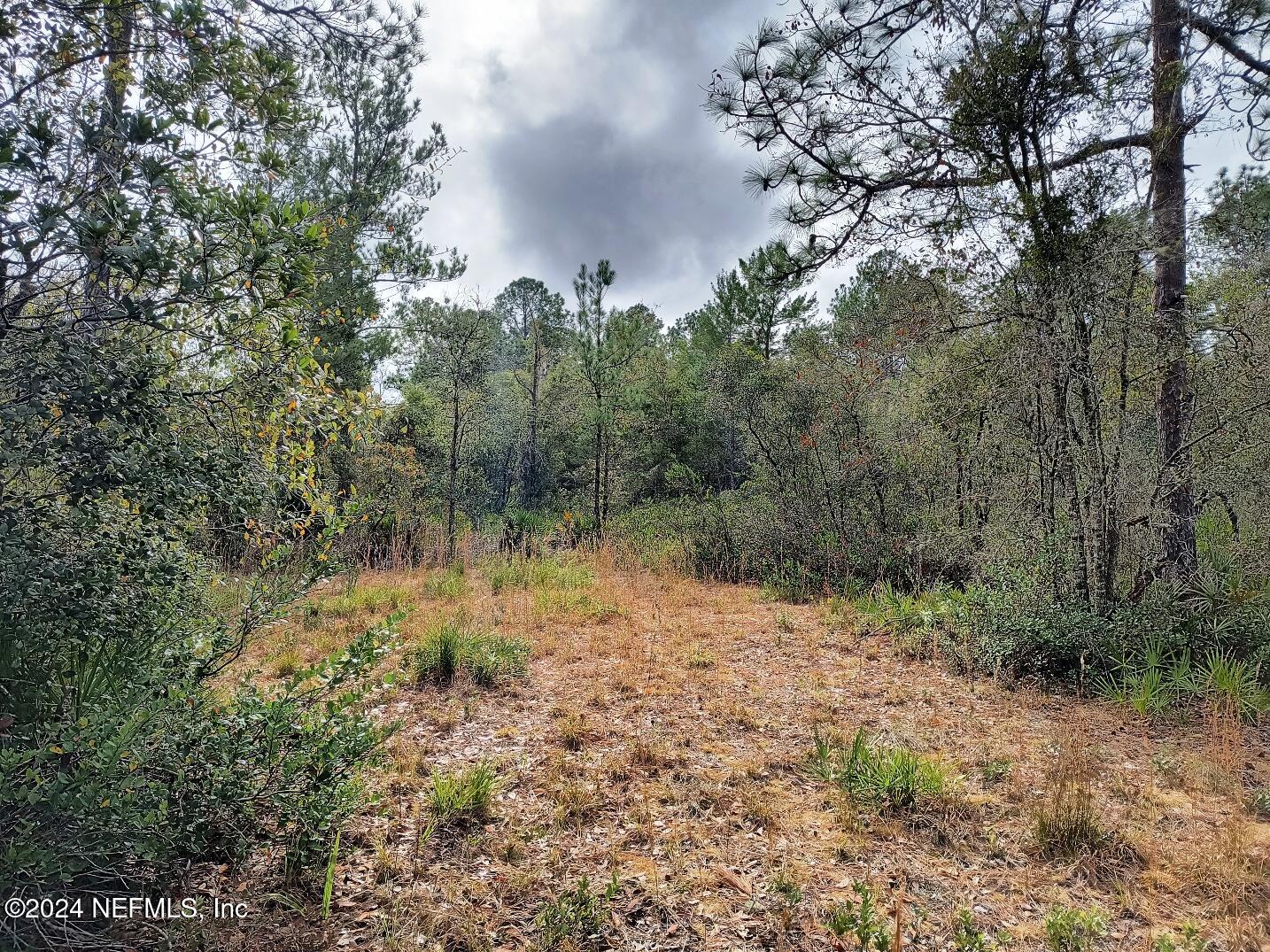148 Little Orange Creek Road Hawthorne, FL 32640 - Photo 17 of 23 IMG_20241228_111150874_HDR