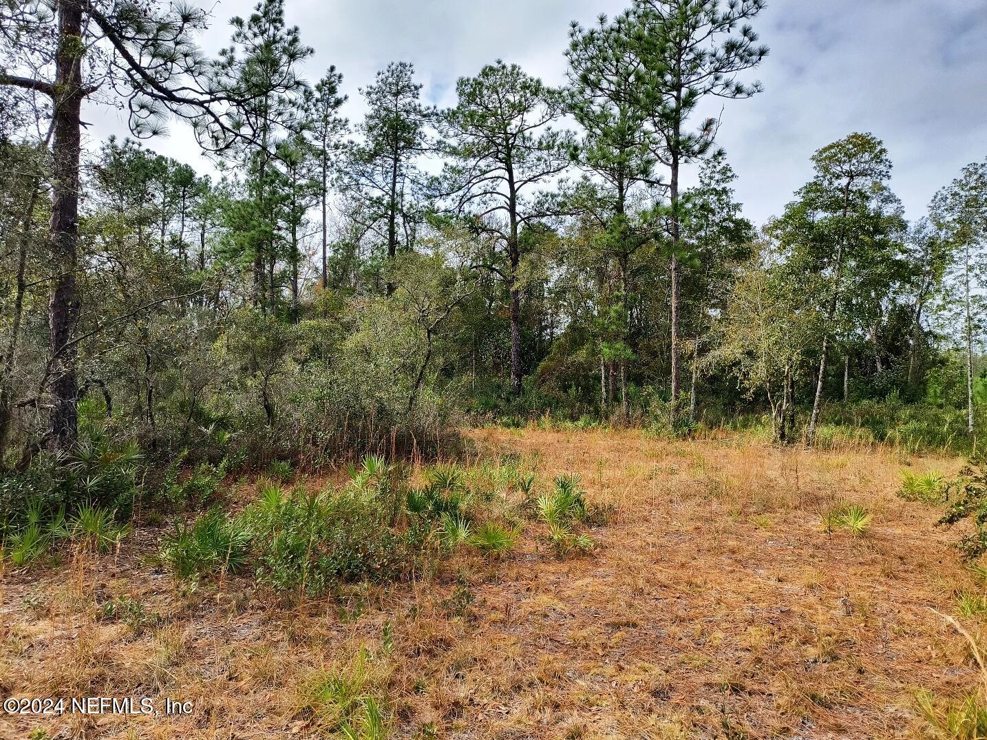 148 Little Orange Creek Road Hawthorne, FL 32640 - Photo 18 of 23 IMG_20241228_111154849_HDR