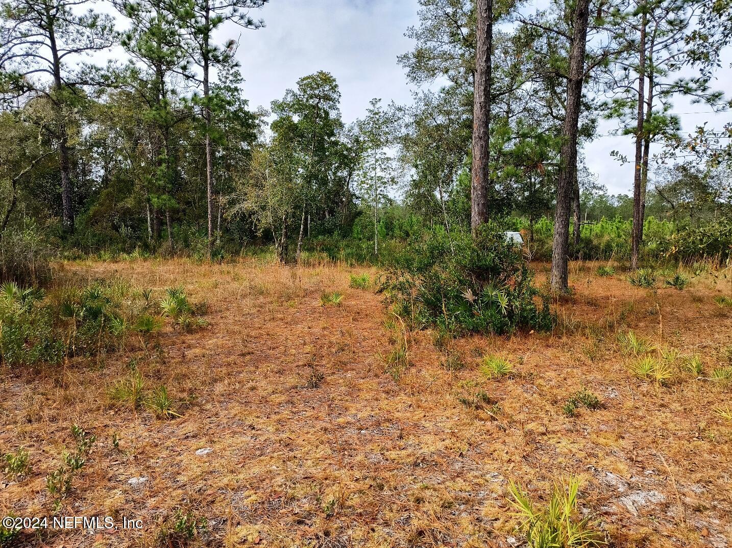 148 Little Orange Creek Road Hawthorne, FL 32640 - Photo 19 of 23 IMG_20241228_111209855_HDR