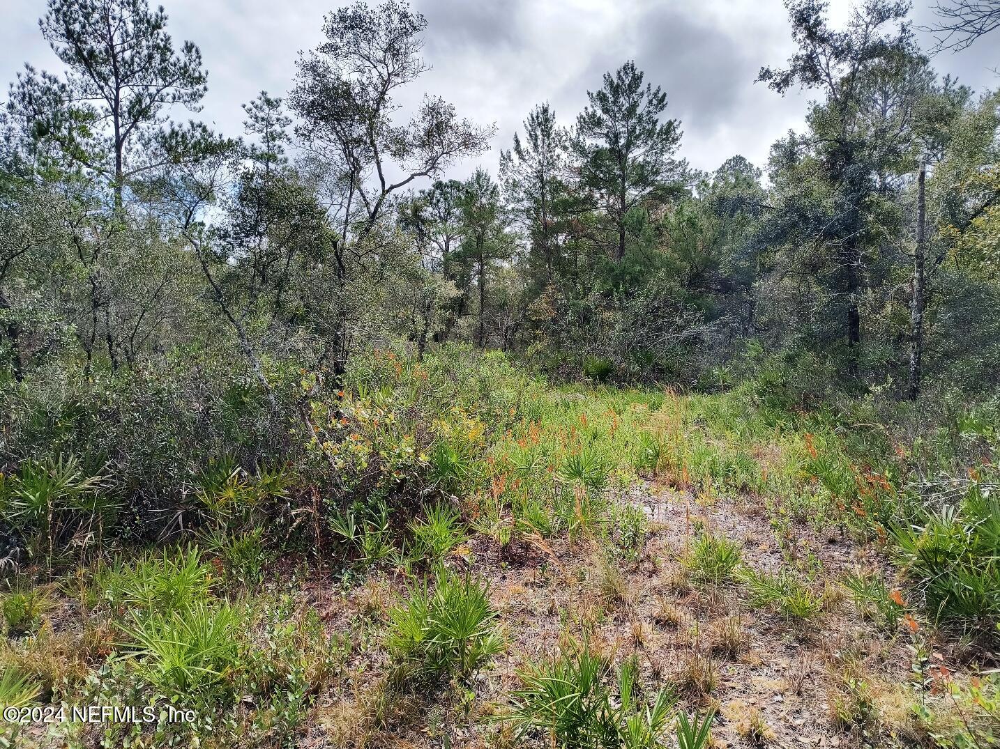 148 Little Orange Creek Road Hawthorne, FL 32640 - Photo 20 of 23 IMG_20241228_111239635_HDR