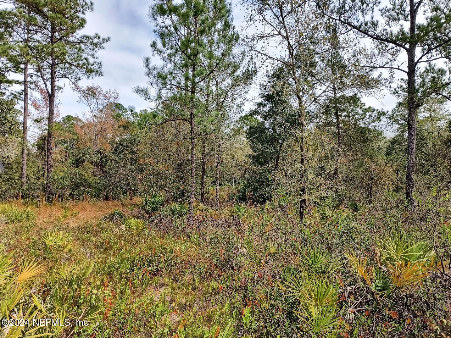 148 Little Orange Creek Road Hawthorne, FL 32640 - Photo 21 of 23 IMG_20241228_111324688_HDR