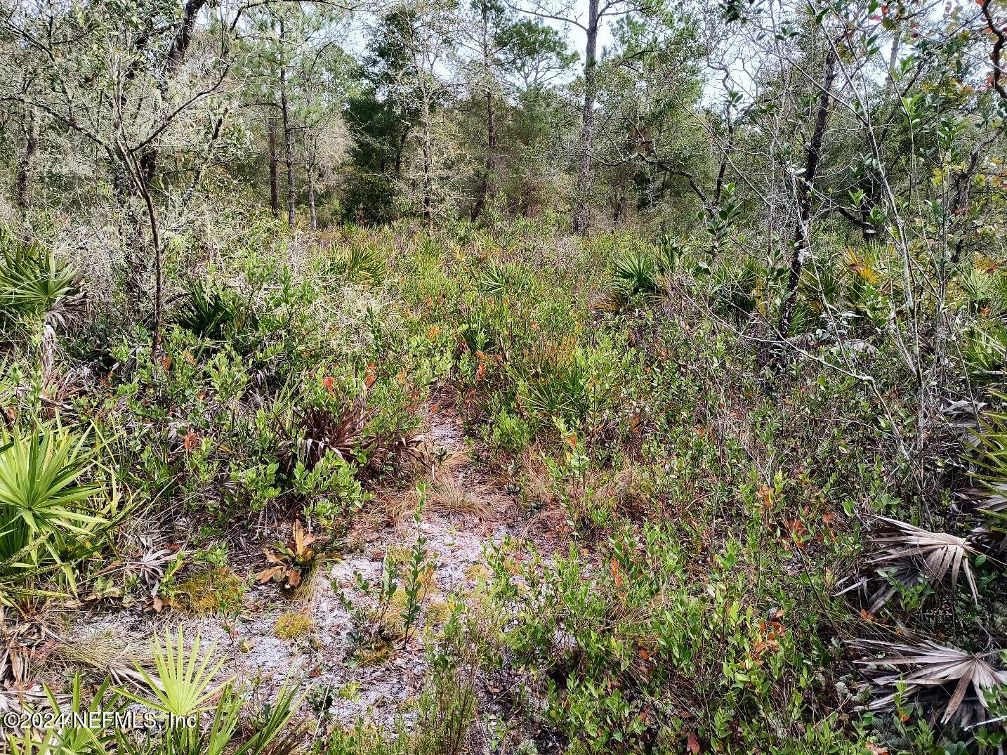 148 Little Orange Creek Road Hawthorne, FL 32640 - Photo 22 of 23 IMG_20241228_111515065_HDR