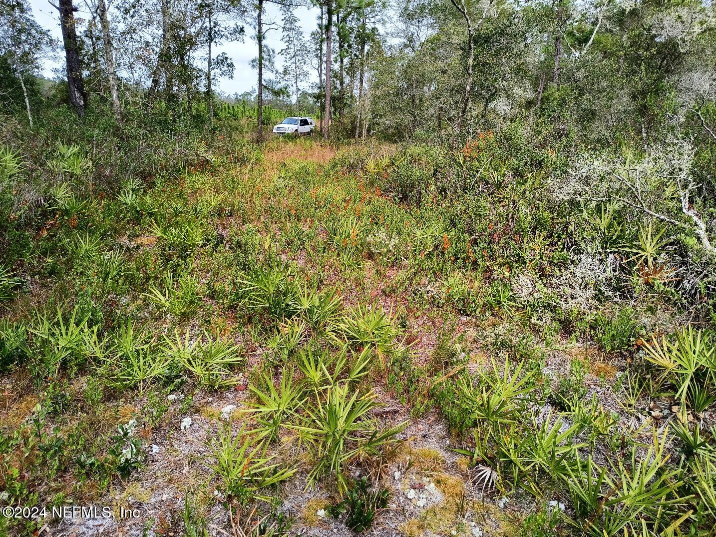 148 Little Orange Creek Road Hawthorne, FL 32640 - Photo 23 of 23 IMG_20241228_111507690_HDR