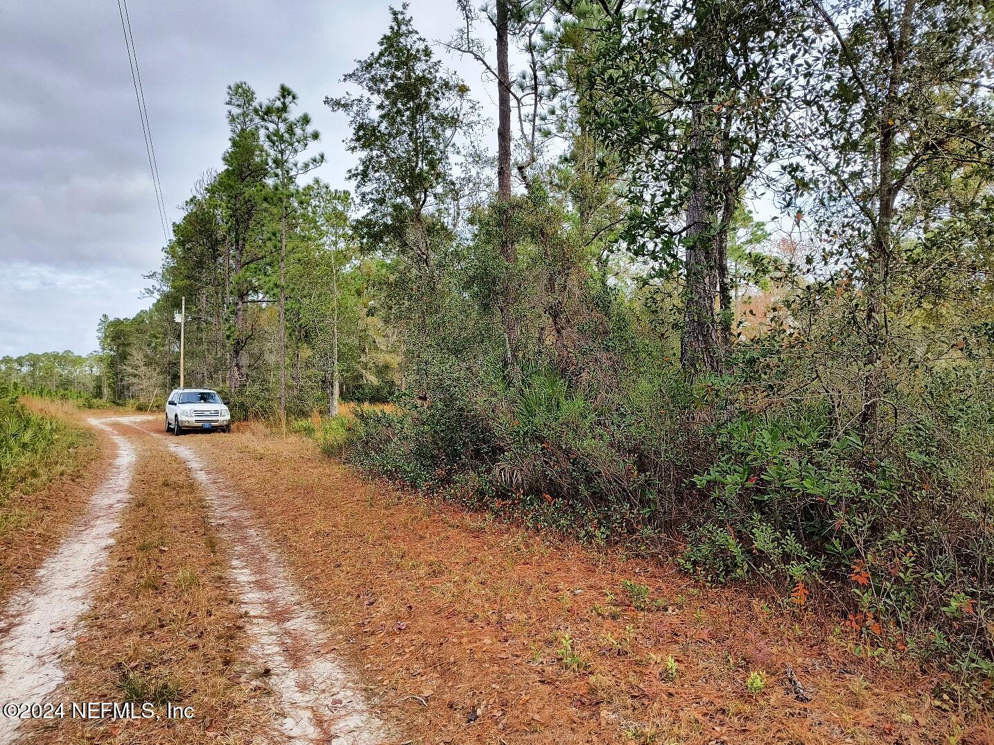 148 Little Orange Creek Road Hawthorne, FL 32640 - Photo 4 of 23 IMG_20241228_111005525_HDR