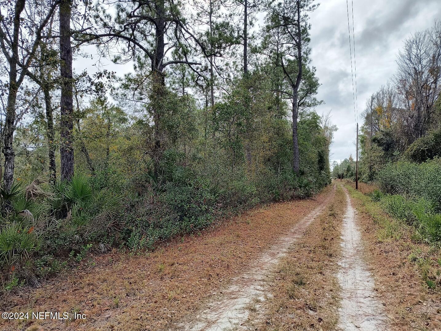 148 Little Orange Creek Road Hawthorne, FL 32640 - Photo 5 of 23 IMG_20241228_110939437_HDR