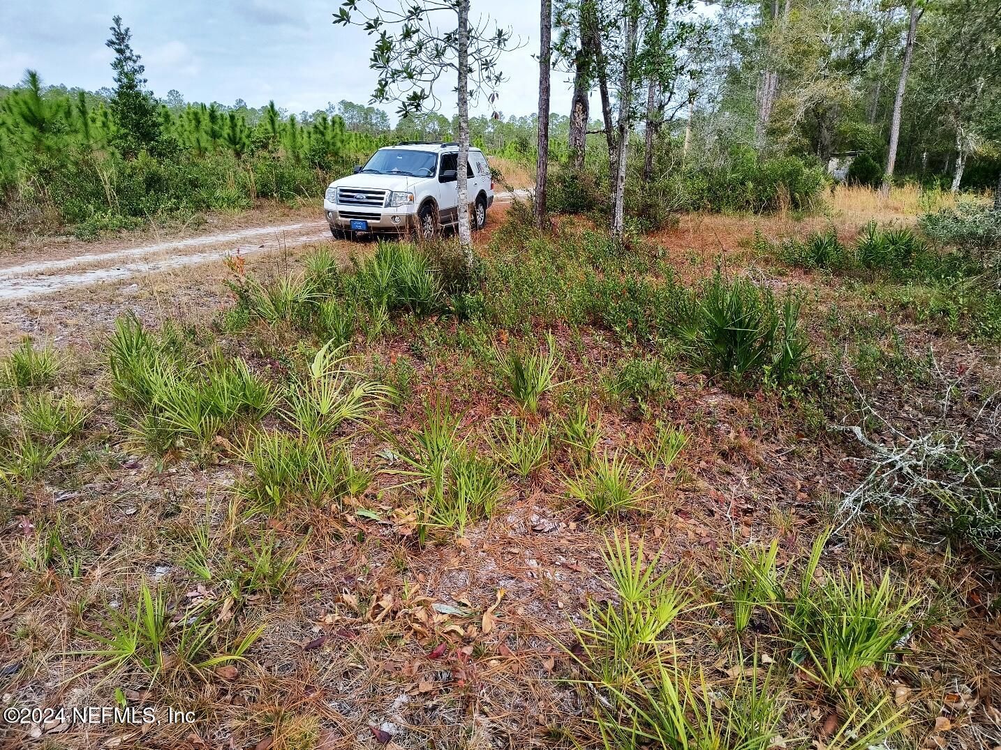 148 Little Orange Creek Road Hawthorne, FL 32640 - Photo 6 of 23 IMG_20241228_111055100_HDR
