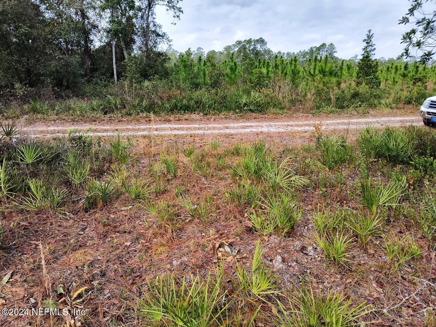 148 Little Orange Creek Road Hawthorne, FL 32640 - Photo 7 of 23 IMG_20241228_111101135_HDR