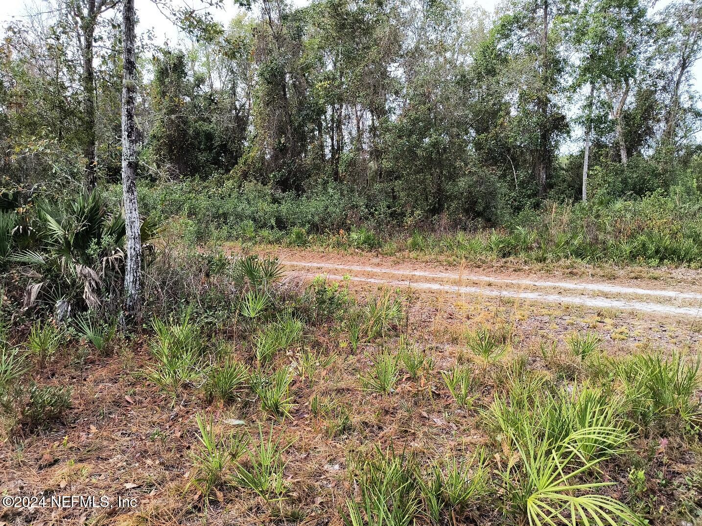 148 Little Orange Creek Road Hawthorne, FL 32640 - Photo 8 of 23 IMG_20241228_111109250_HDR