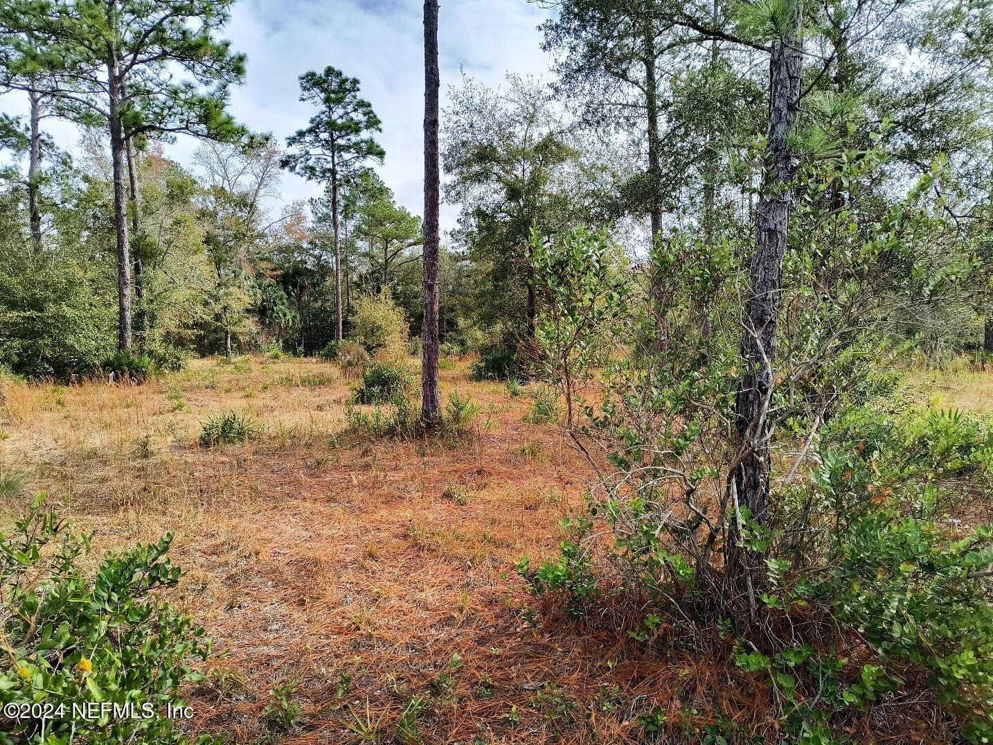 148 Little Orange Creek Road Hawthorne, FL 32640 - Photo 9 of 23 IMG_20241228_110854941_HDR