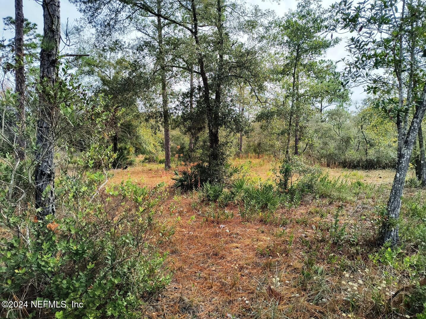 148 Little Orange Creek Road Hawthorne, FL 32640 - Photo 10 of 23 IMG_20241228_110901811_HDR