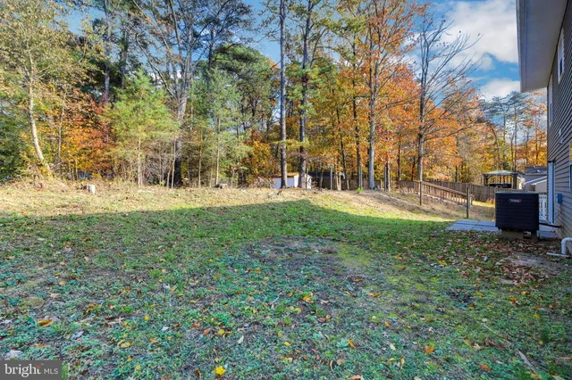 a view of a park with large trees