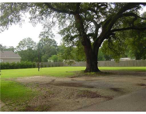 0 Reed Road Pearl River, LA 70452 - Photo 5 of 7 Gallery Image 5
