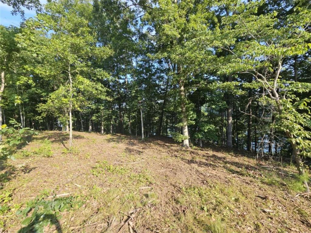 237 Southern Trace Toccoa, GA 30577 - Photo 2 of 15