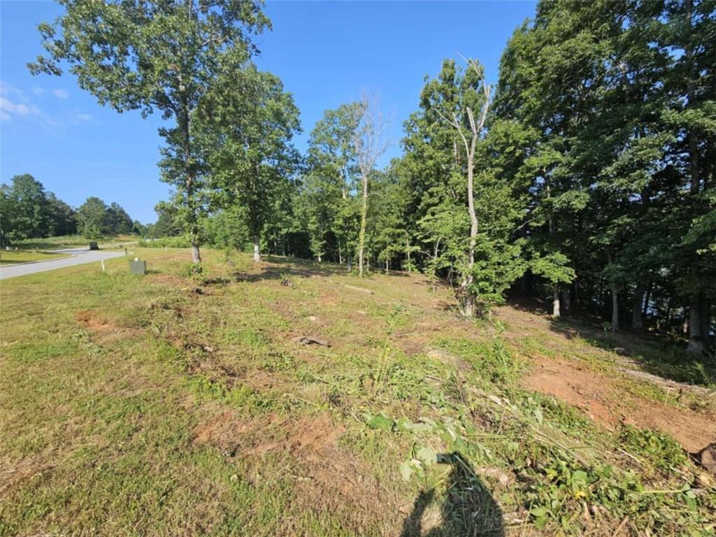 237 Southern Trace Toccoa, GA 30577 - Photo 3 of 15