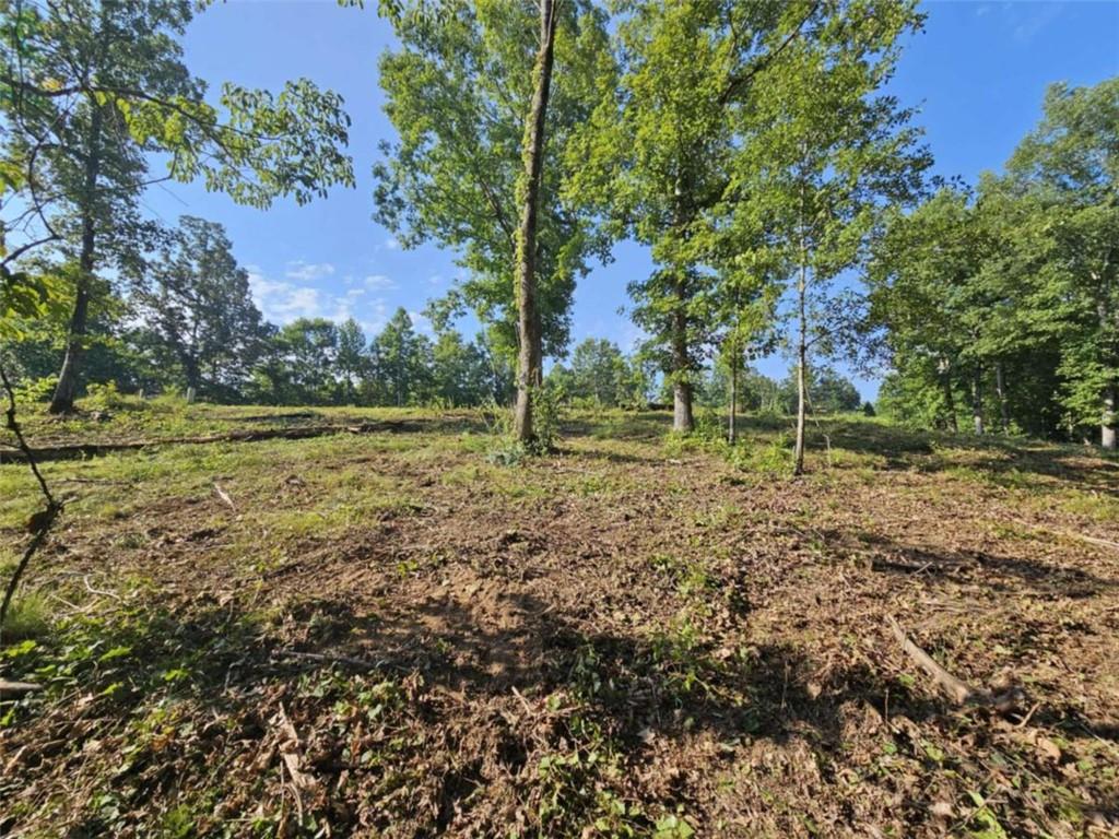 237 Southern Trace Toccoa, GA 30577 - Photo 4 of 15