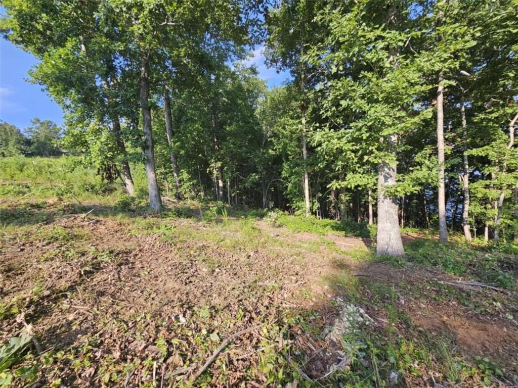 237 Southern Trace Toccoa, GA 30577 - Photo 5 of 15