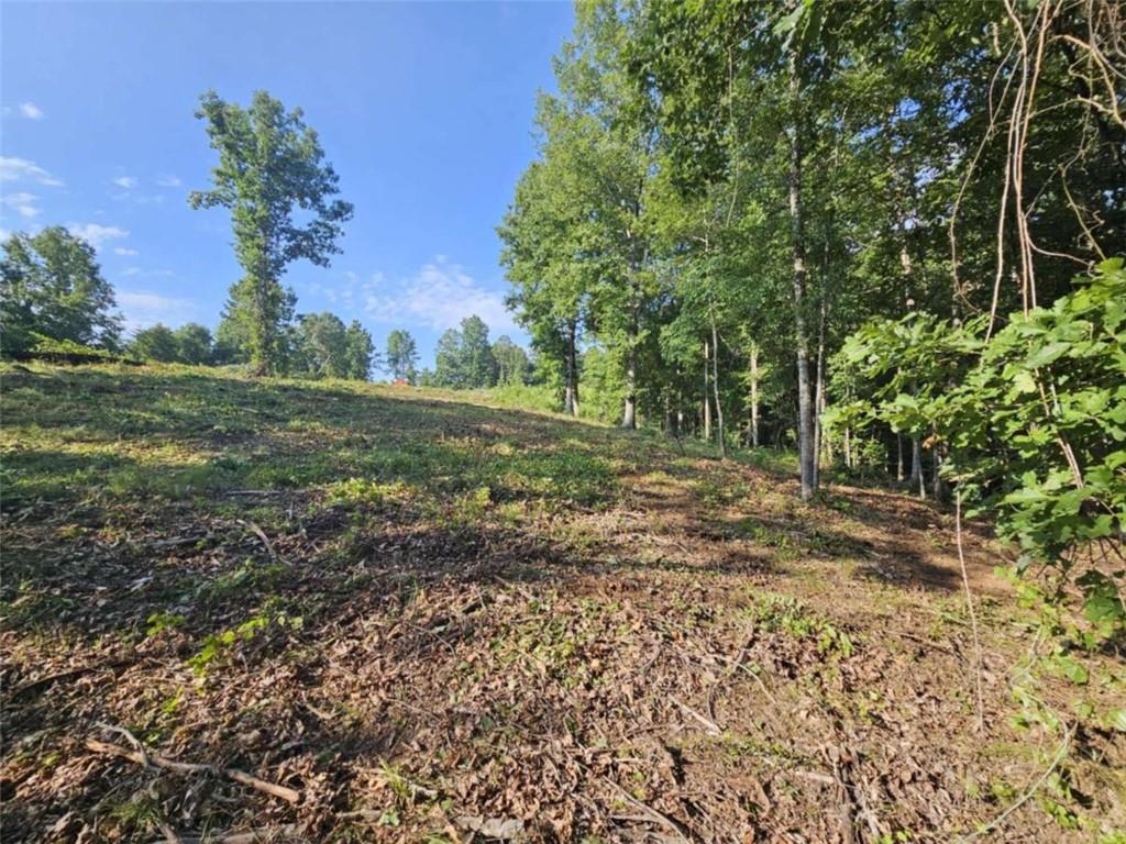 237 Southern Trace Toccoa, GA 30577 - Photo 8 of 15