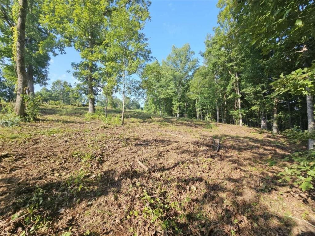 237 Southern Trace Toccoa, GA 30577 - Photo 9 of 15